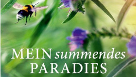 So wird aus jedem Garten eine Oase für Bienen und Insekten